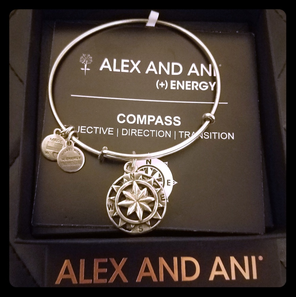Alex and Ani Compass bangle silver
